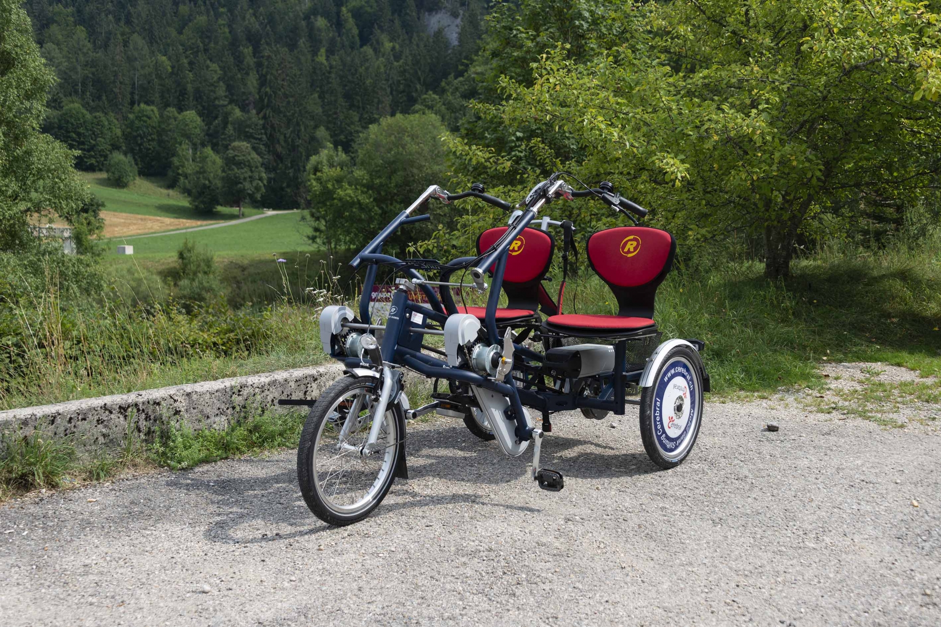 Vélo électrique pour PMR_8