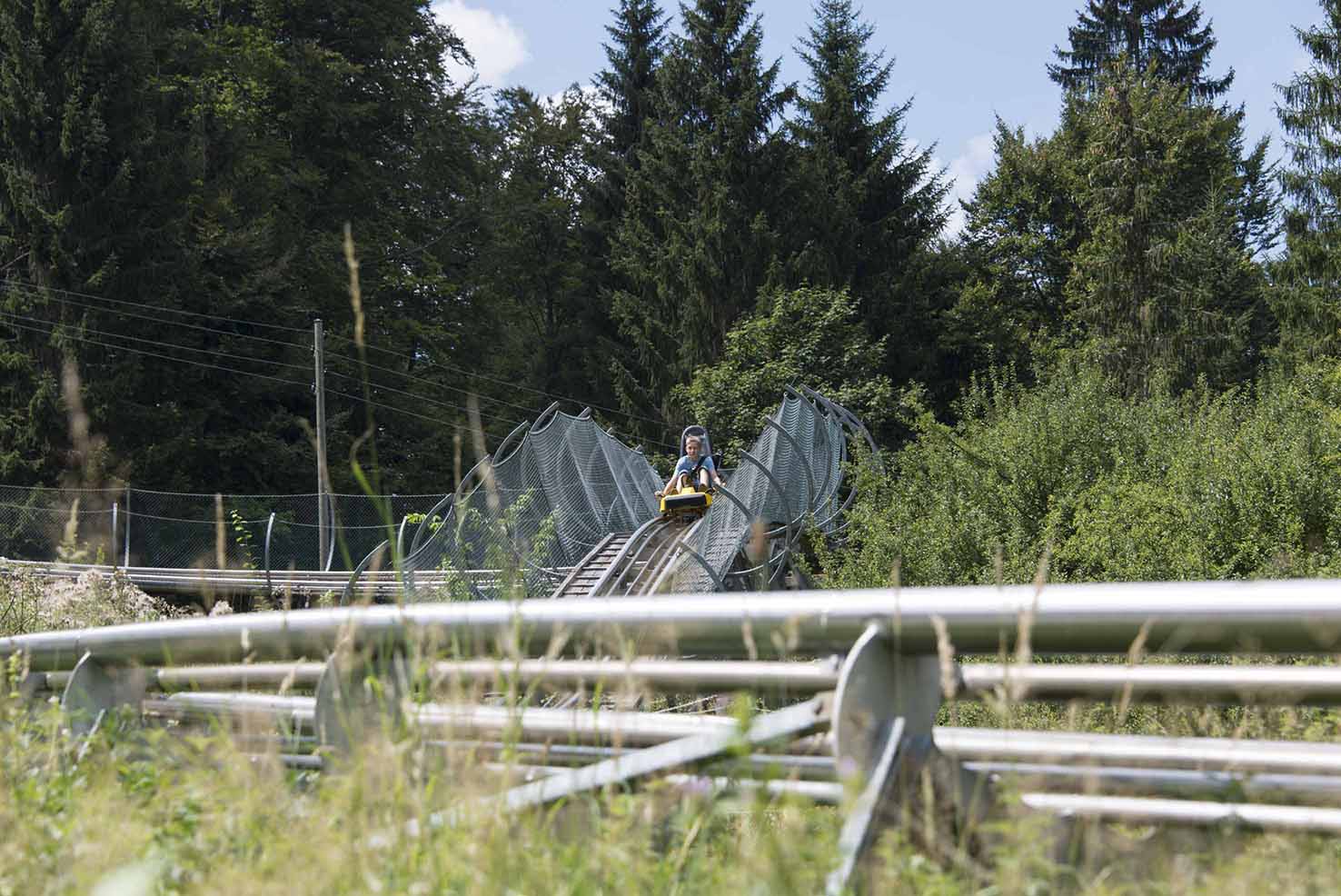 Luge Féeline_7