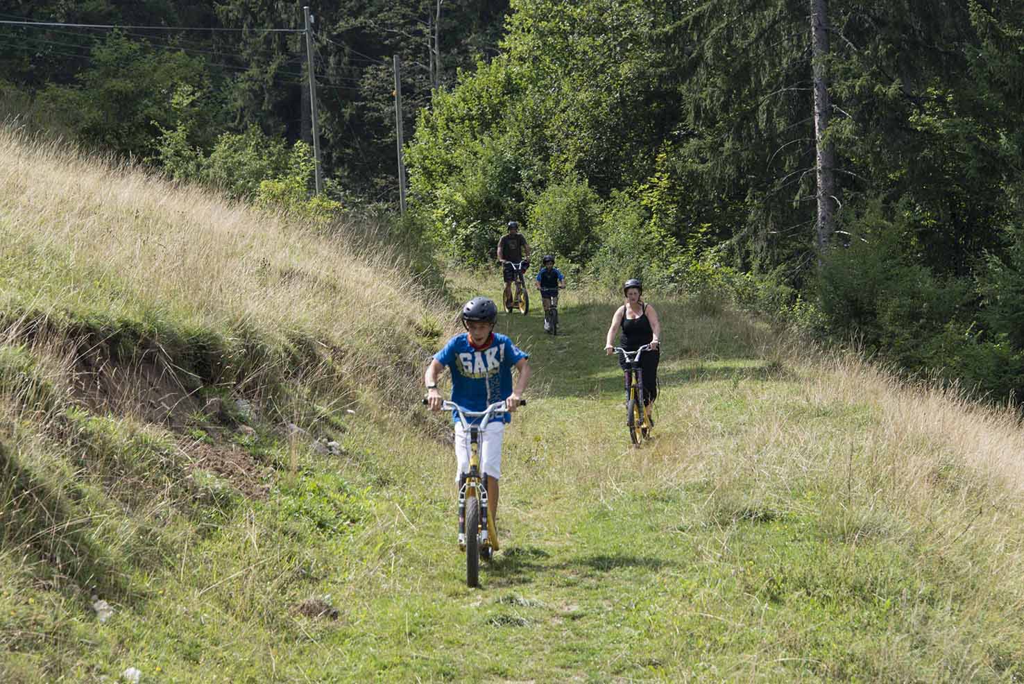 Trottinette tout-terrain_2
