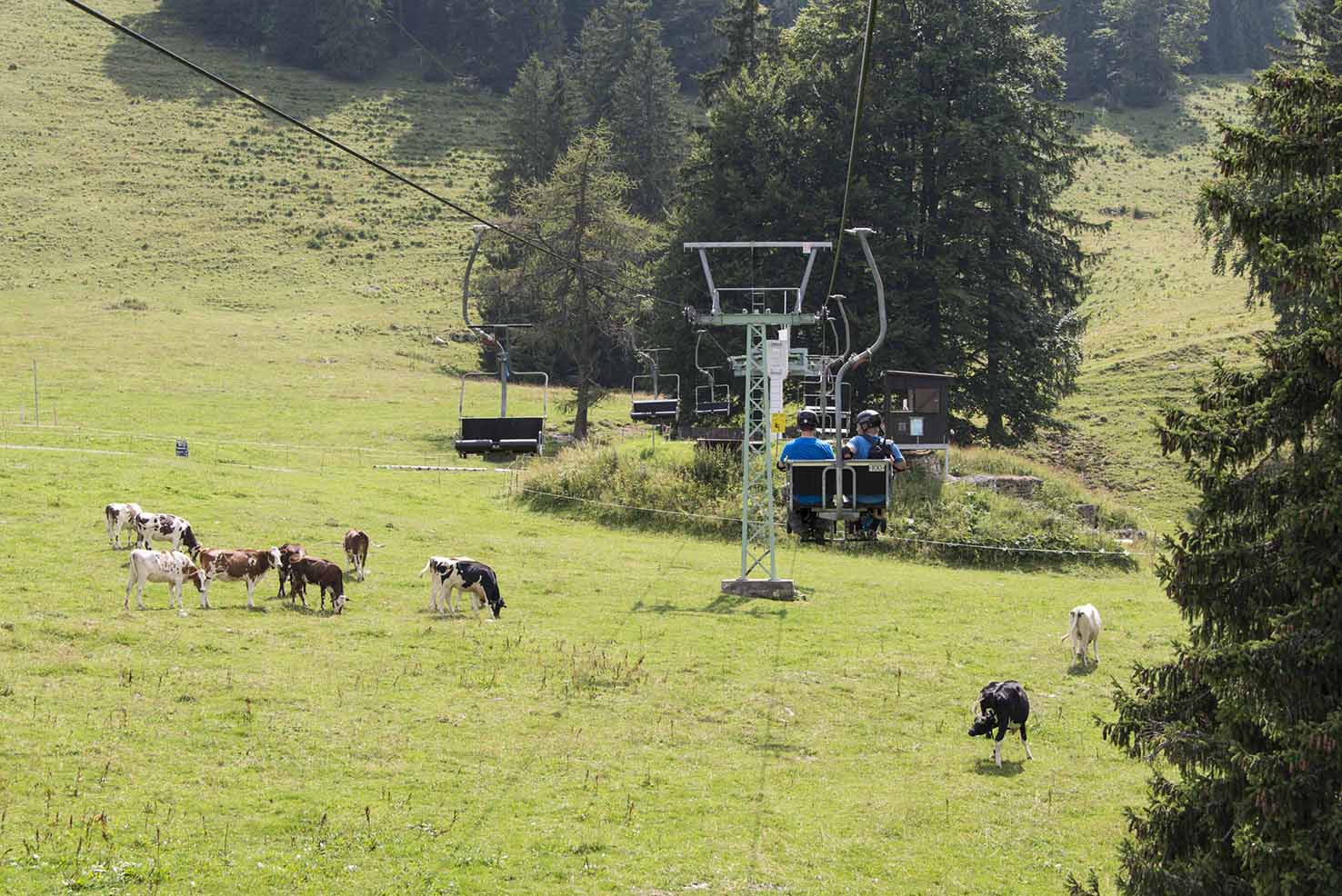 Télésiège_9