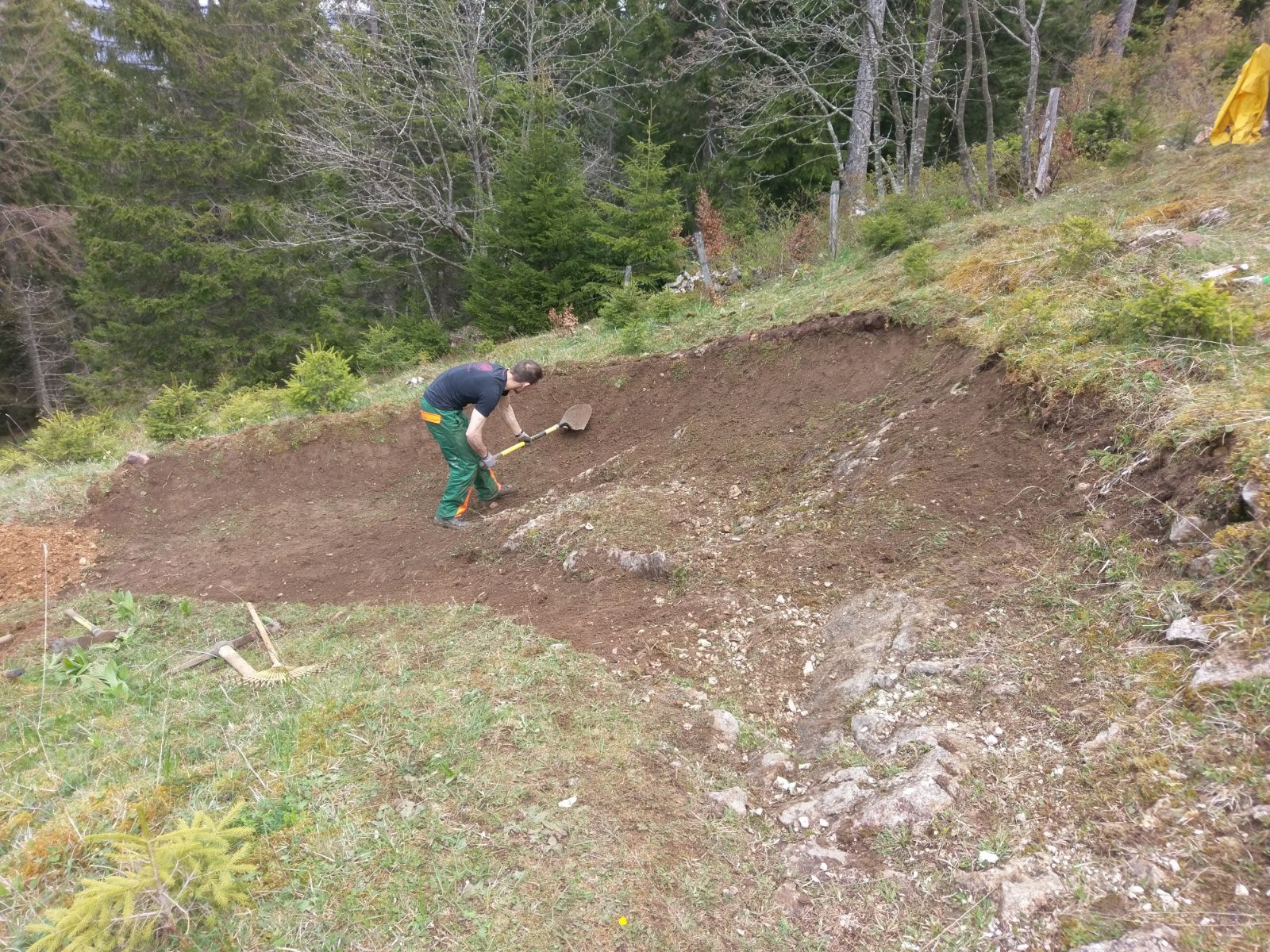 downhill_12