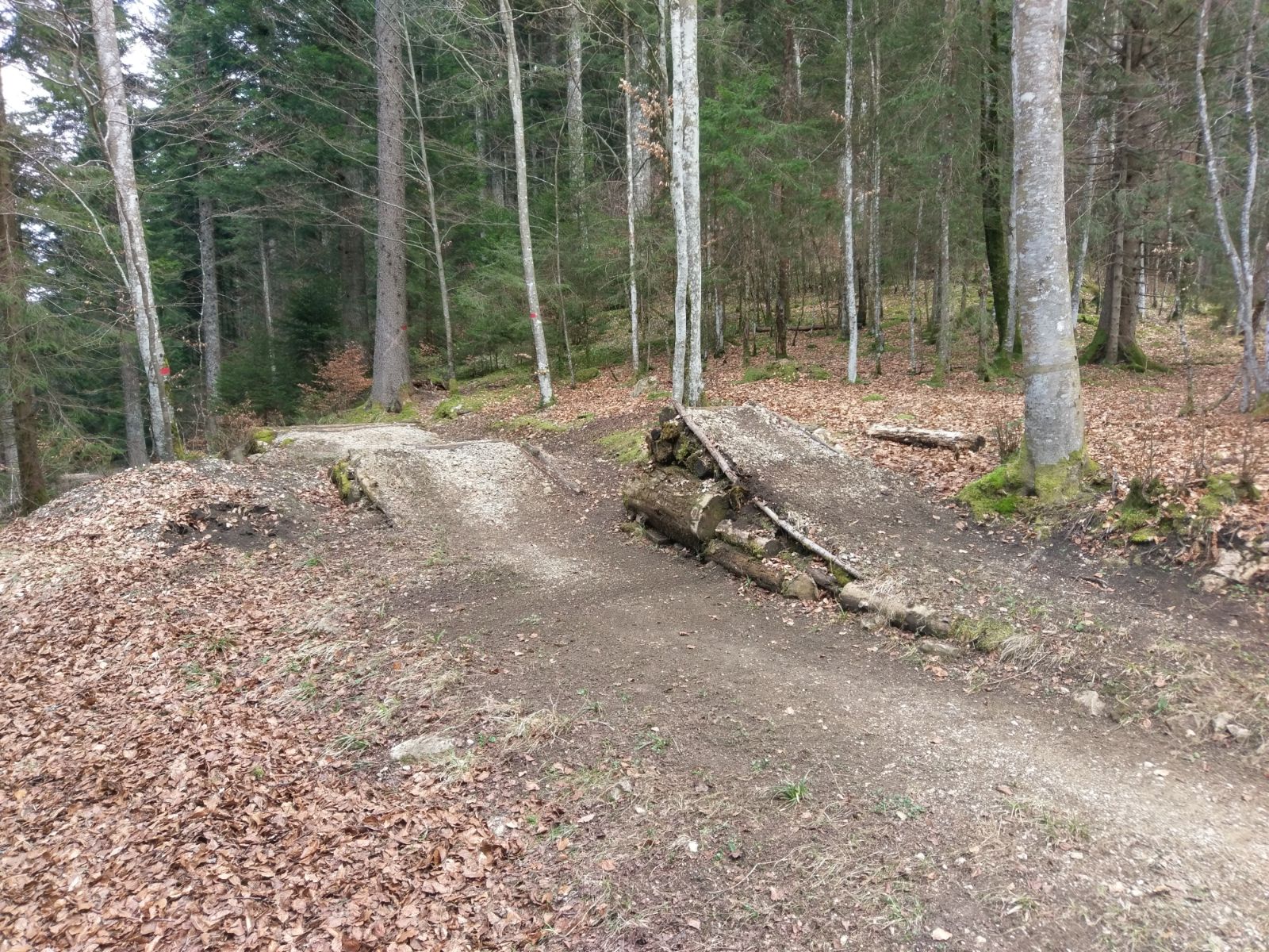 downhill_14