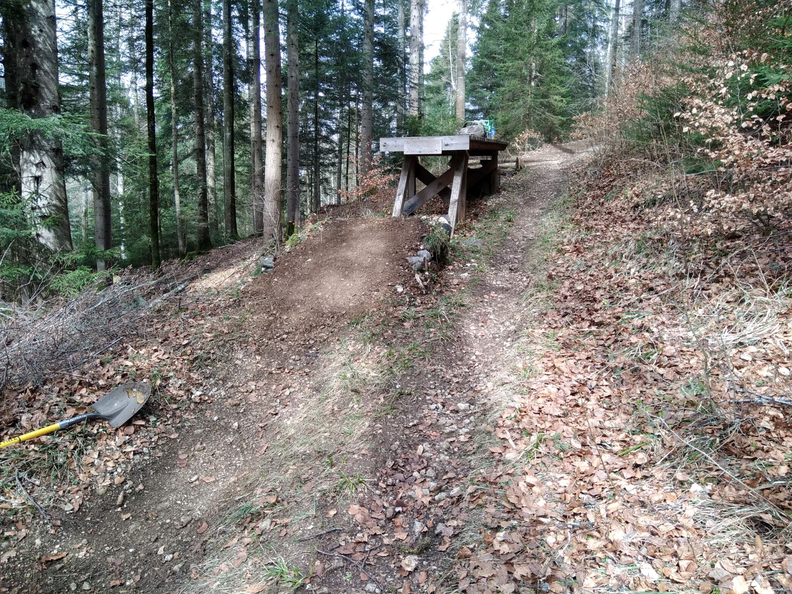 downhill_16