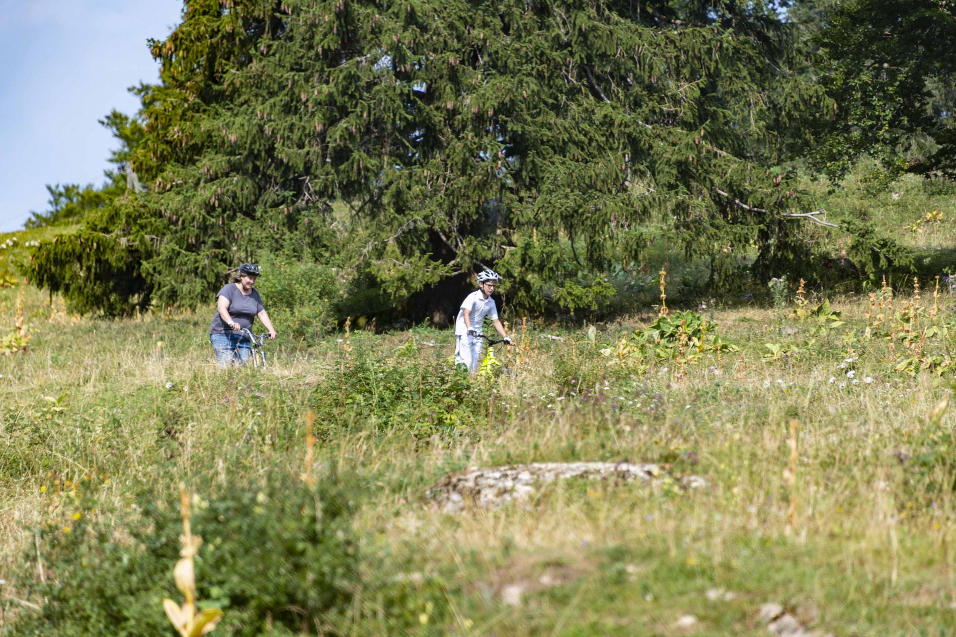 Trottinette_1