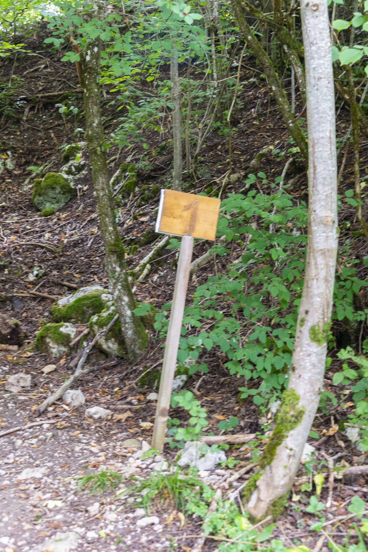 Jeu de piste_8