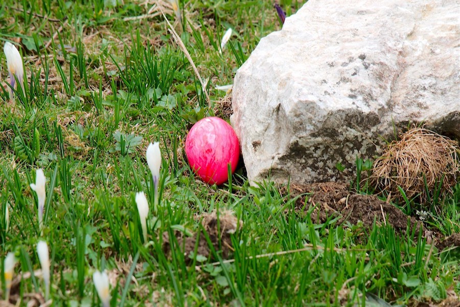 Course aux oeufs de la Robella