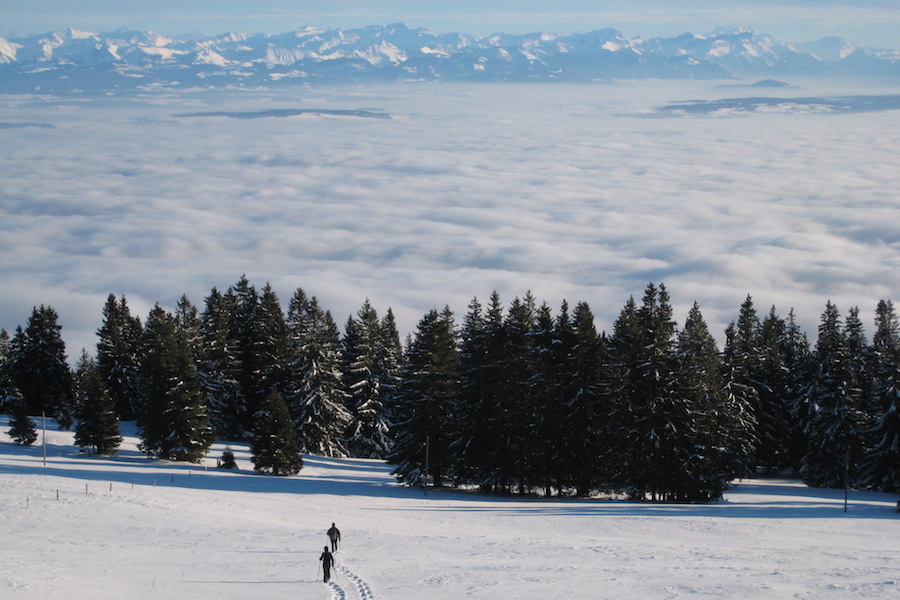 Randonnée hivernale dans le Jura de La Robella au Chasseron 