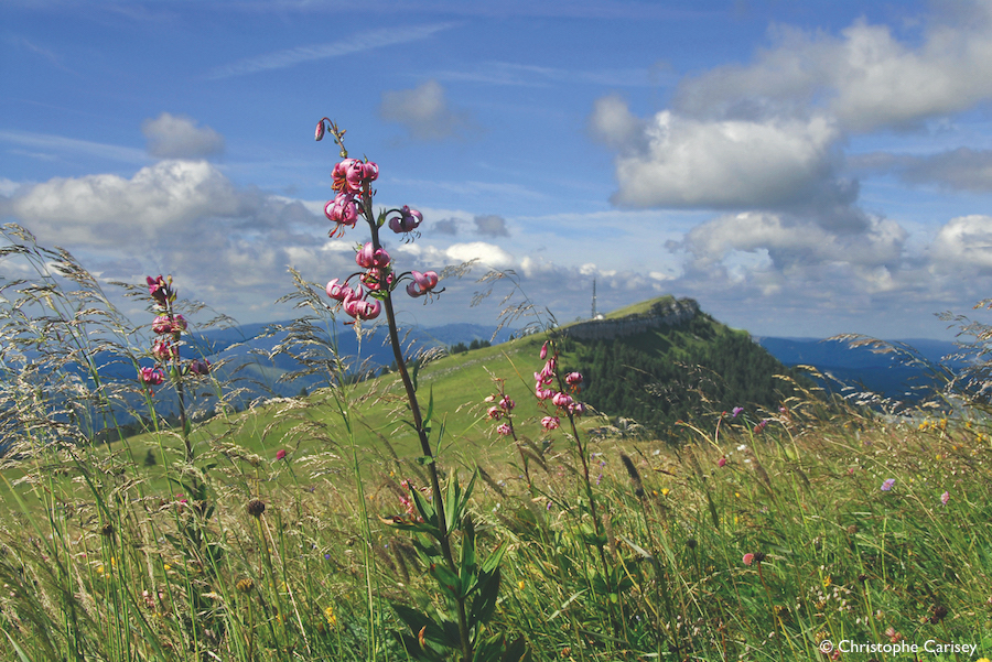 Auf dem Gipfel des Chasseron, Val-de-Travers, Neuenburger Jura