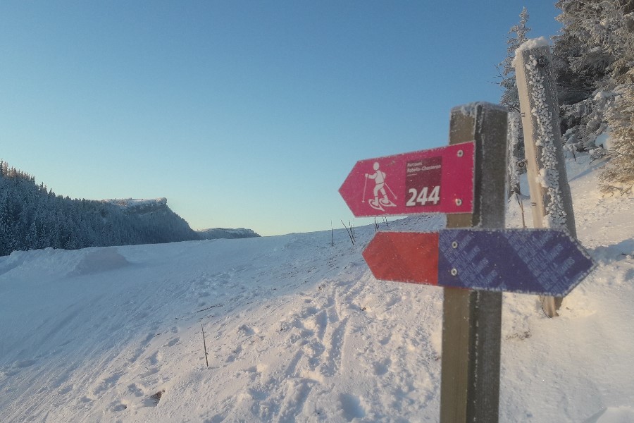 La station de ski de la Robella offre du ski de randonnée pour tous niveaux.