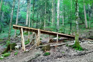 Downhill Robella Val-de-Travers