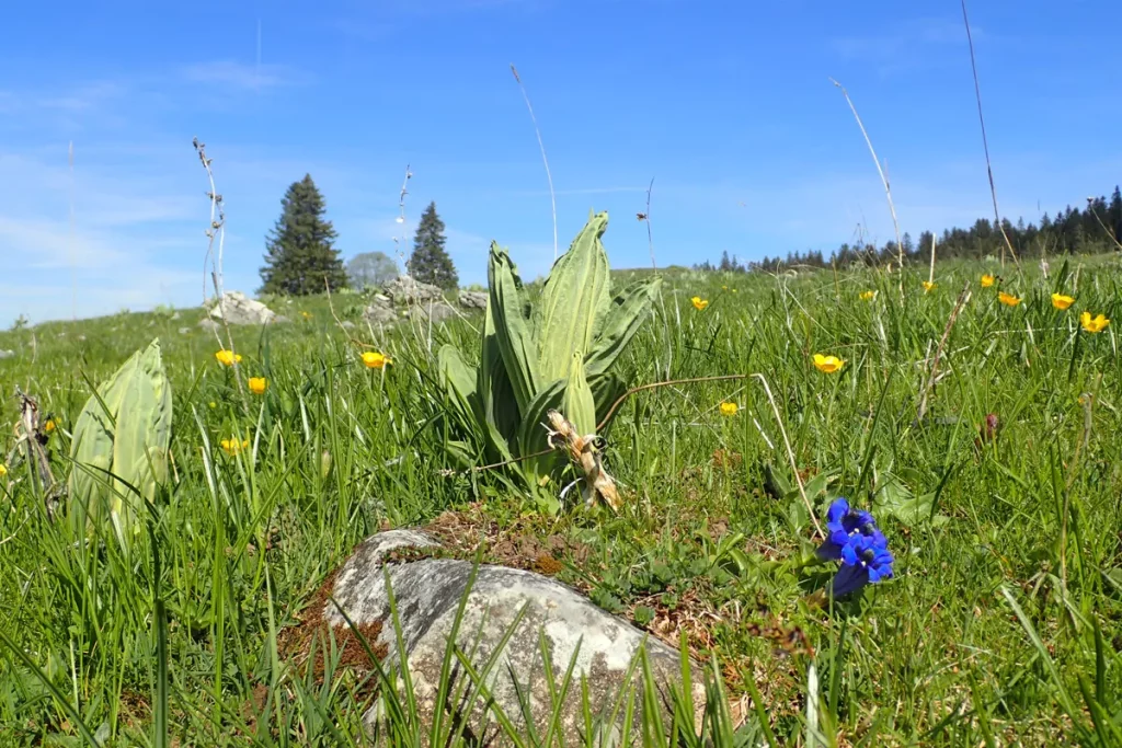 Wandern – Robella Val-de-Travers